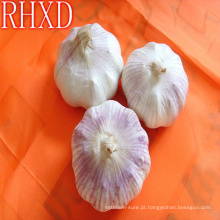 venda por atacado china cheap garlic